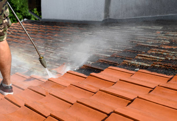 Best Residential Pressure Washing Services  in Duboistown, PA